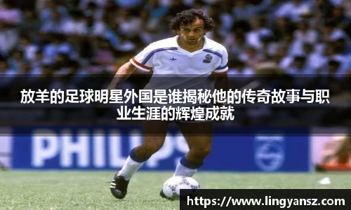 星空综合体育官网